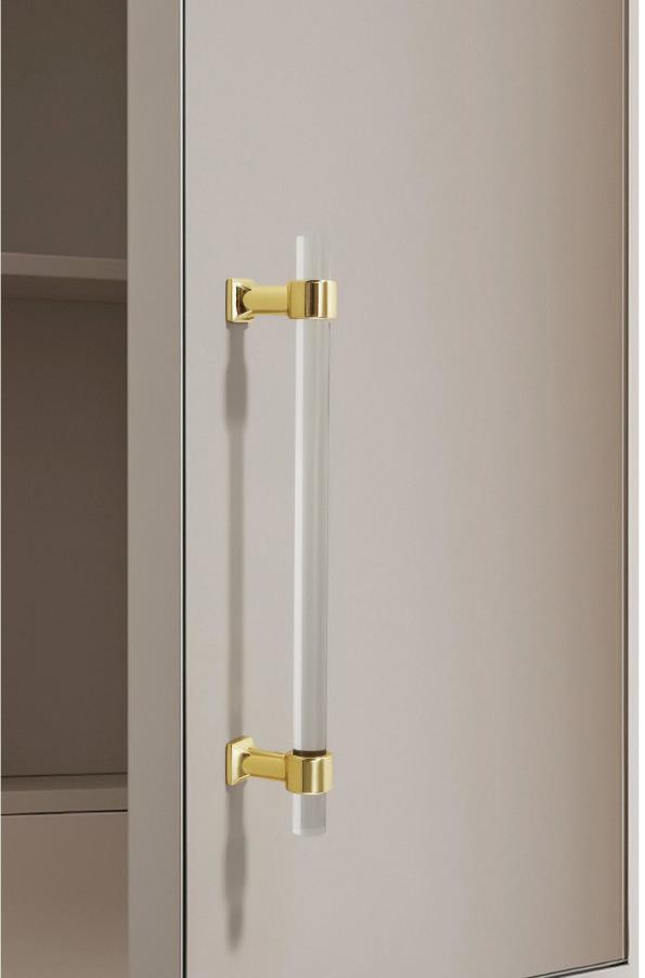 Transparent Acrylic Cabinet Handles with Metallic Accents